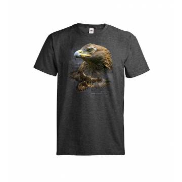 Dark melange gray DC Golden eagle T-shirt