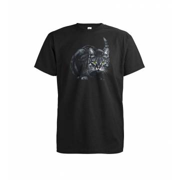Musta DC Kissa T-paita