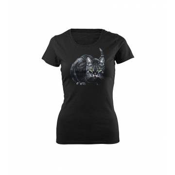 Black DC Cat Slim T-shirt