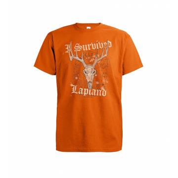 Oranssi/Grafiitinharmaa DC Survived Lapland T-paita