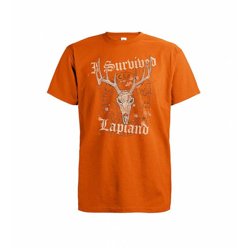 Oranssi/Grafiitinharmaa DC Survived Lapland T-paita
