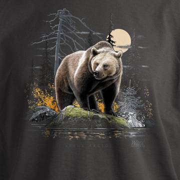 Bear on the stone T-shirt
