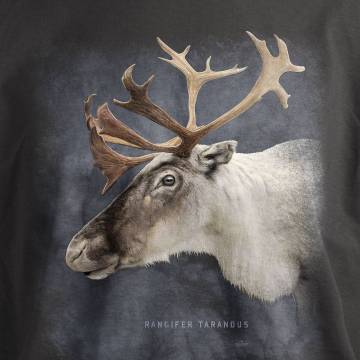 DC Reindeer, Rangifer tarandus T-shirt