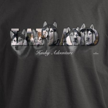 Light Graphite DC Huskies Lapland T-shirt
