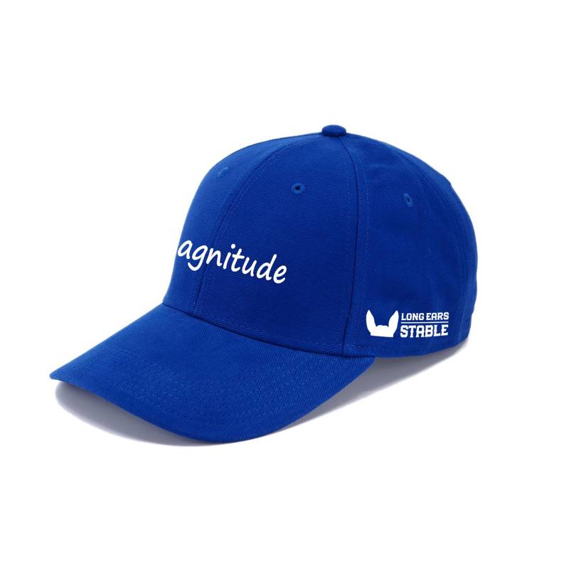 Royal Blue Magnitude Lippis