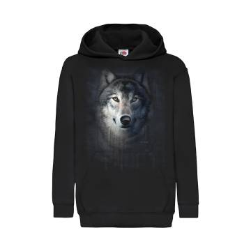 Black DC Sudenpää FIN Lasten Huppari