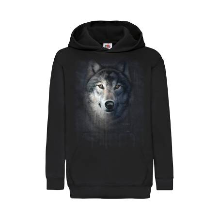 Black DC Sudenpää FIN Lasten Huppari