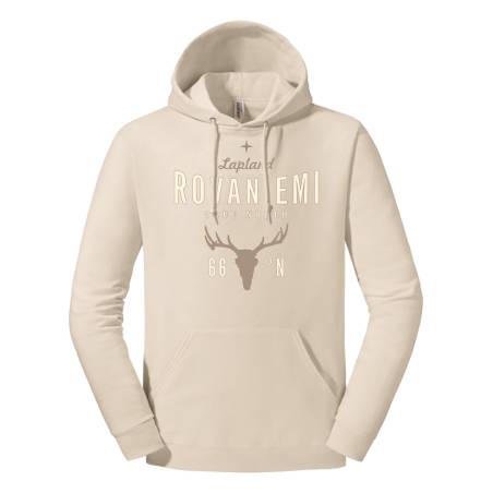 Sand DC Rovaniemi - True North Hoodie