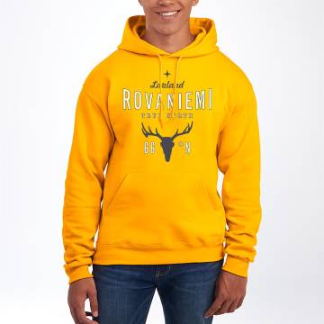 Deep Navy DC Rovaniemi - True North Hoodie