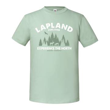 Sage Experience the North T-shirt